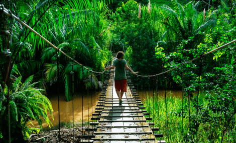 suspended-bridge.png