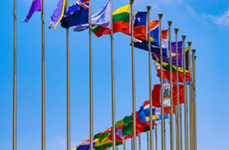 flags.jpg