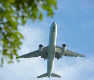 Sustainability Sustainability